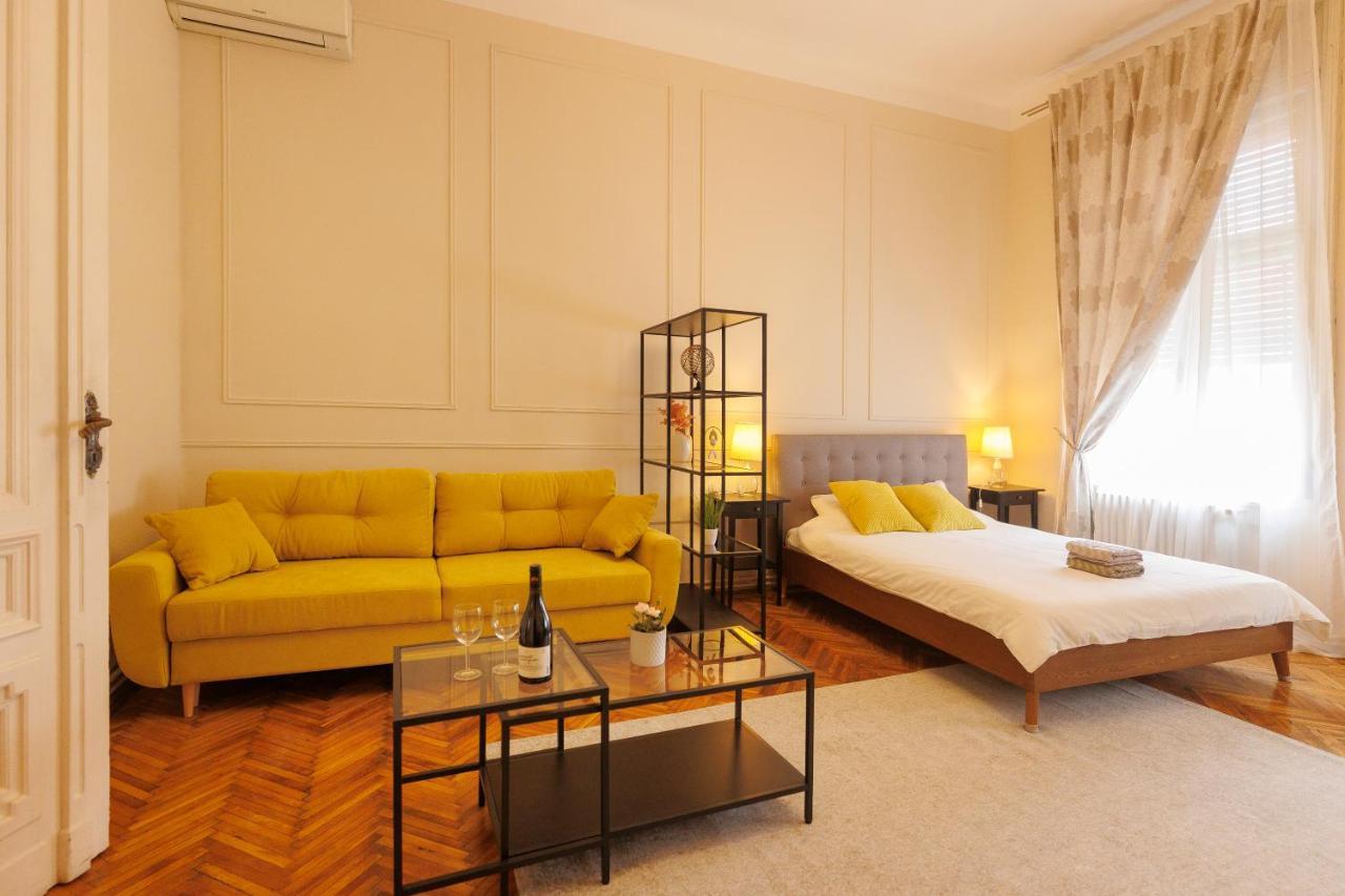 Spacious Flat In Old Town Wi-Fi Timişoara Exteriör bild