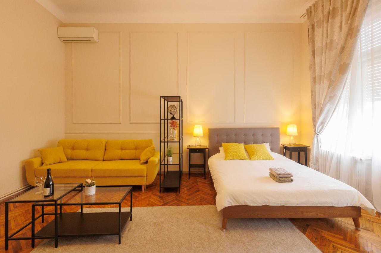 Spacious Flat In Old Town Wi-Fi Timişoara Exteriör bild