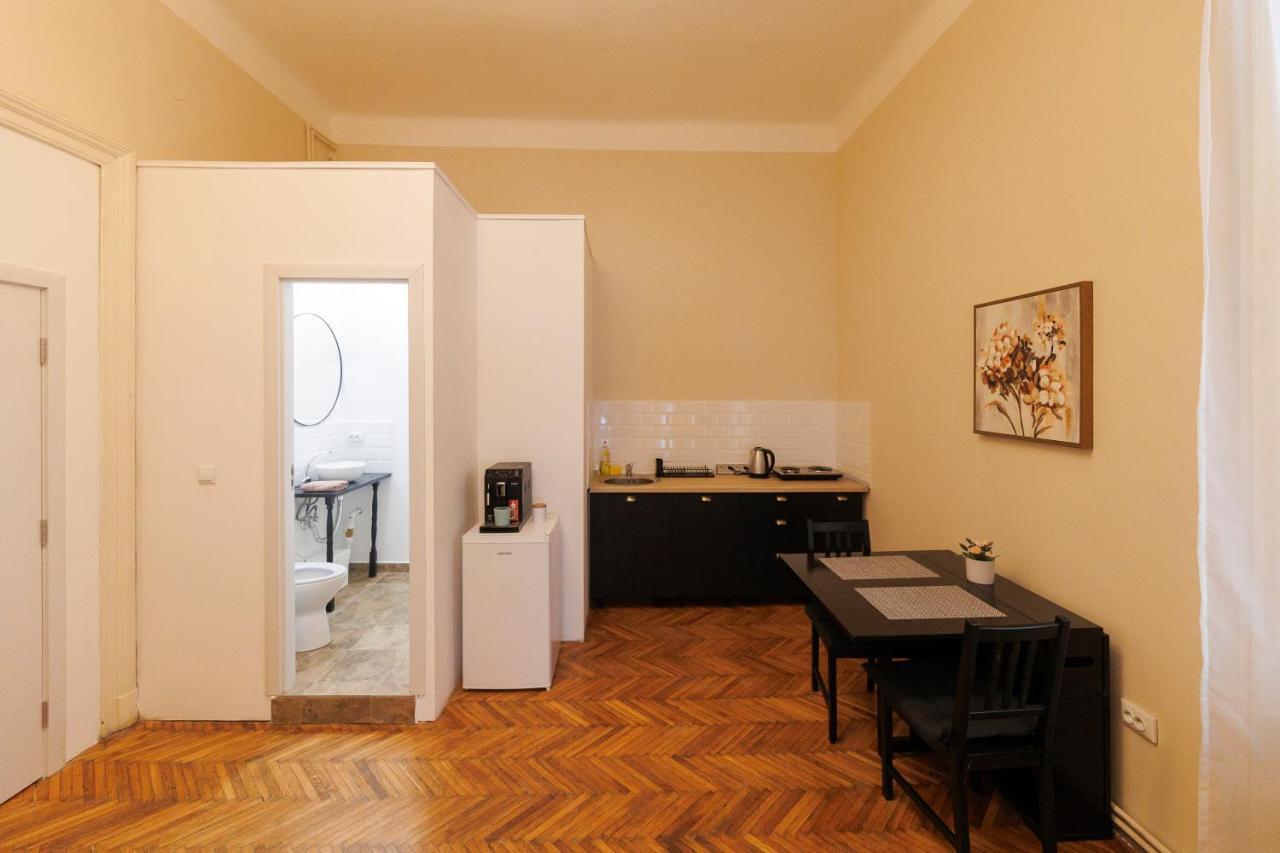 Spacious Flat In Old Town Wi-Fi Timişoara Exteriör bild