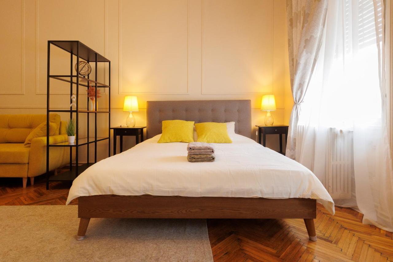 Spacious Flat In Old Town Wi-Fi Timişoara Exteriör bild