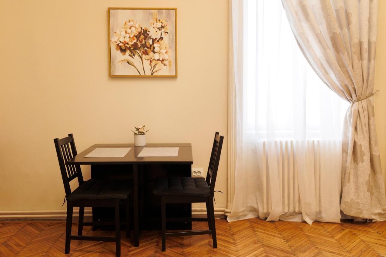 Spacious Flat In Old Town Wi-Fi Timişoara Exteriör bild