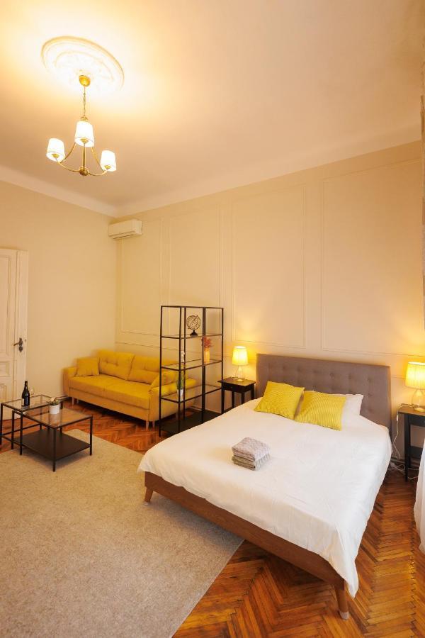 Spacious Flat In Old Town Wi-Fi Timişoara Exteriör bild